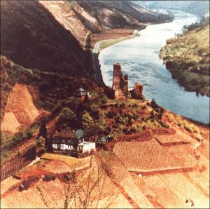 'Castle Coraidelstein - Mosel-  Germany' - Photo one