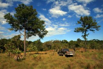 '10 acres farmland for sale with creek' - Photo one