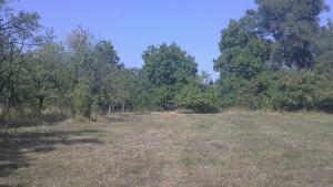 'Plot for residential house in Oreshak' - Photo one