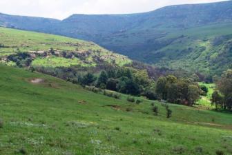 '1/3 Share in Stunning Game & Hunting Farm' - Photo one