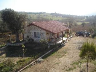 'Farm for sale in Turkey Yenifo�a-Kozbeyli,...' - Photo one