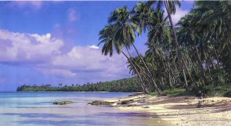 'Coral Coast Beachfront and Oceanview Lots' - Photo one