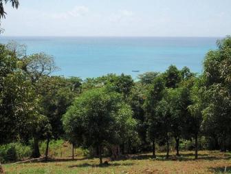 'Beautiful ocean view property.' - Photo one