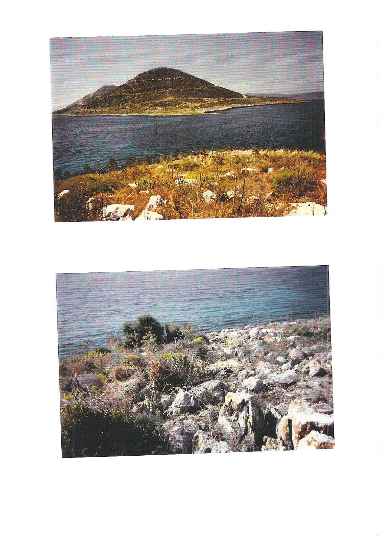 Island at South Evoikos - Photo two