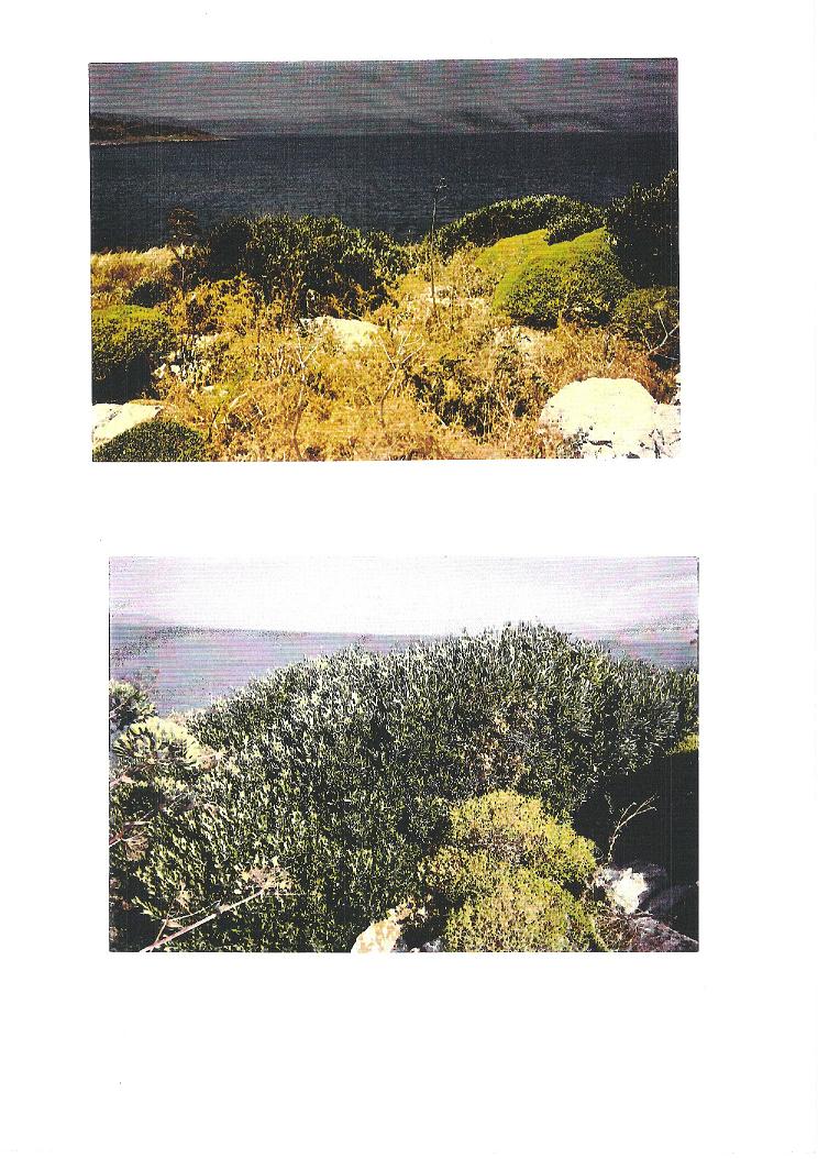 Island at South Evoikos - Photo one