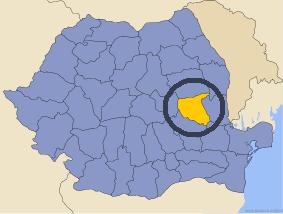 Romanian vineyard located in east part of the country. - Photo one