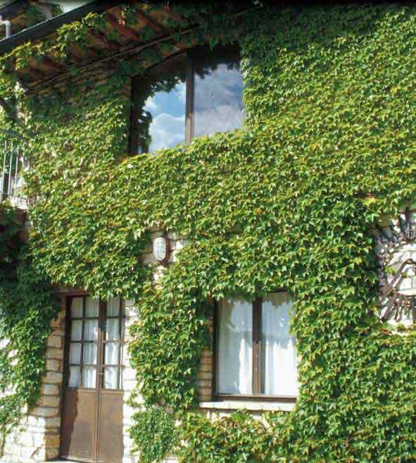 Mansion (or Bed & Breakfast) - Photo one