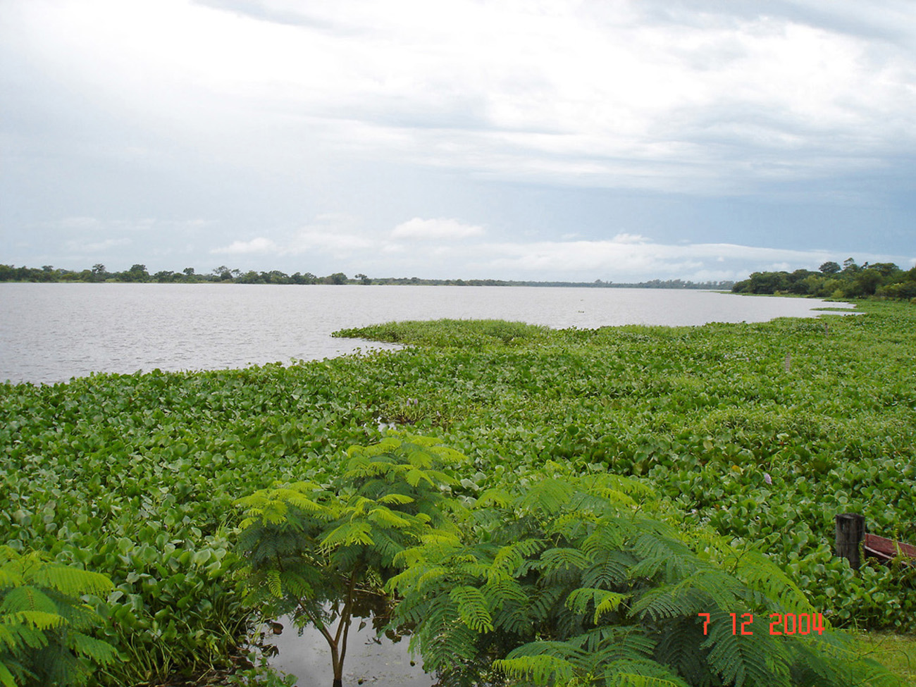 Big farms to the sale. Argentina - Photo one
