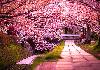 Gardens In Tokyo – Treat To Your Eyes, Bliss To Your Soul