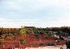 Villa  of 90 mq in densely populated area - Photo five