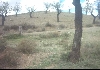 Glo-con : Rural real estate for sale listing or rural property for sale listing on Glo-con's international rural properties for sale directory - Photo six