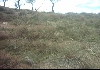 Glo-con : Rural real estate for sale listing or rural property for sale listing on Glo-con's international rural properties for sale directory - Photo seven