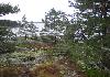 Private Island for Sale in Finland - Photo two