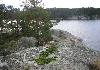 Private Island for Sale in Finland - Photo one