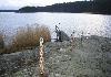 Private Island for Sale in Finland - Photo four