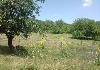 20000m2 land with an old style house in Virce - Photo two