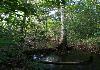 10 acres farmland for sale with creek - Photo two