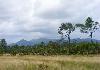 10 acres farmland for sale with creek - Photo four