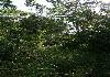 10 acres farmland for sale with creek - Photo five