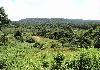 Factory and 22,000 Acres of Land - Photo two
