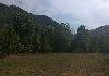 Plot for residential house in Oreshak - Photo two