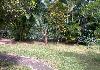 House for Urgent Sale in Kandy, Sri Lanka - Photo two