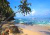 Private island for sale - Photo three