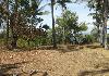 Absolutely beachfront land for sale in Padang - Photo six
