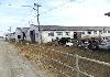 Cattle Farm (owned land 367 ha) - Photo six