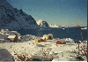 LOFOTEN, Norway: charming cottage for rent - Photo three