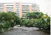 commercial &residencial - Photo four