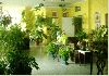 Private rooms along Cuba. A different way of having vacations. - Photo three