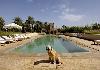 Villa rentals Marrakesh - Photo six