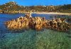 New beach front villas in Sardinia - Photo four