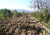 Farm for sale in Turkey Yenifo�a-Kozbeyli,... - Photo three
