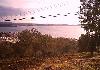 Turkey building land for villas with sea view - Photo two