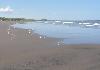 Sandy Beach close to David, Panama - Photo five