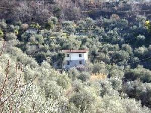 'Bargain  rustico  for sale in Italy  Liguria' - Photo one