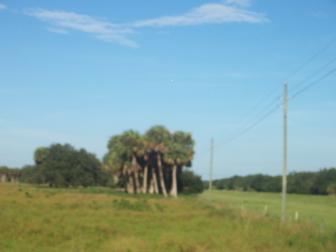 'Vacant land for agricultural development' - Photo one