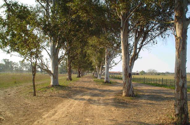 Farm in Argentine - Photo two