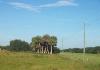 Vacant land for agricultural development - Photo two