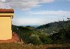Villa with pool for sale Italian Riviera - Photo three
