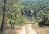 Finca  close to Alicante - Photo four