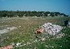 12.000 m� building land in Ayvalik Turkey - Photo three