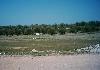 12.000 m� building land in Ayvalik Turkey - Photo two