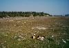 12.000 m� building land in Ayvalik Turkey - Photo four