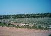 12.000 m� building land in Ayvalik Turkey - Photo five